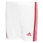 adidas Shorts Squadra 21 - Hvit/Rød Barn