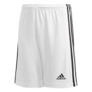 adidas Shorts Squadra 21 - Hvit/Sort Barn