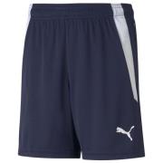 PUMA Shorts teamLIGA - Navy/Hvit Barn