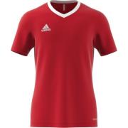adidas Trenings T-Skjorte Entrada 22 - Rød/Hvit