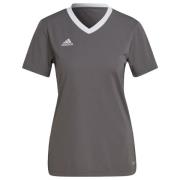 adidas Trenings T-Skjorte Entrada 22 - Grå Dame