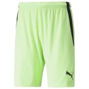 teamLIGA Shorts Fizzy Lime-Puma Black