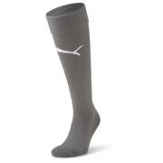 Team LIGA Socks CORE Smoked Pearl-Puma White