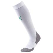 Team LIGA Socks CORE Puma White-Pepper Green