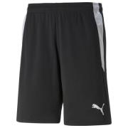 PUMA Shorts teamLIGA - Sort