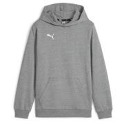 PUMA Hettegenser teamGOAL Casuals - Grå Barn