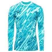 Nike Keeperdrakt Dri-FIT Gardien V L/E - Turkis/Sort