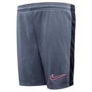 Nike Treningsshorts Dri-FIT Academy 23 - Grå/Rosa Barn