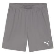 teamGOAL Shorts Cast Iron-PUMA White