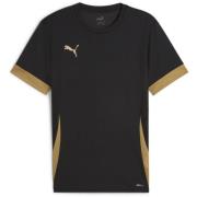 PUMA Trenings T-Skjorte teamGOAL - Sort/Gull Barn