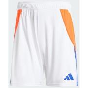 Adidas Tiro 24 Training Shorts