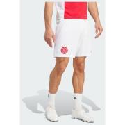 Adidas Ajax Amsterdam 24/25 Home Shorts