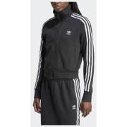 Adidas Original Knit Top