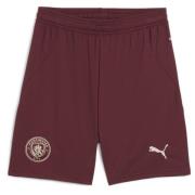 Manchester City Tredjeshorts 2024/25 Barn