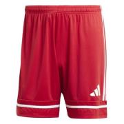 adidas Shorts Squadra 25 - Rød/Hvit