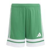 adidas Shorts Squadra 25 - Grønn/Hvit Barn