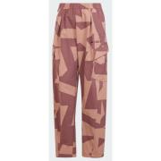 Adidas Terrex Xploric Cargo Pants Printed