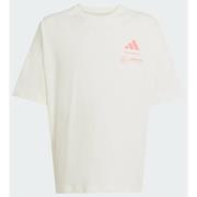 Adidas Mercedes - AMG Petronas Formula One Team Summer Graphic Tee Kid...