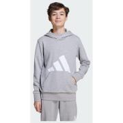 Adidas Essentials Hoodie Kids