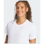 Adidas TERREX MOUNTAIN GRAPHIC T-SHIRT