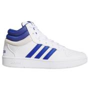 Adidas HOOPS MID CLASSIC SHOES