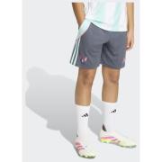 Adidas Messi Shorts Kids