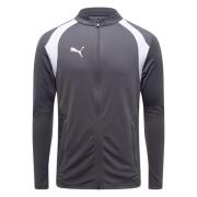PUMA Treningsjakke teamFINAL26 Full Zip - Grå/PUMA White