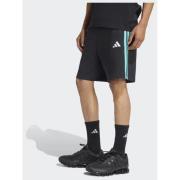 Adidas MERCEDES - AMG PETRONAS FORMULA 1 TEAM DNA SHORT