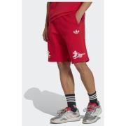 Adidas Arsenal FC Places+Faces Shorts