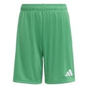 adidas Shorts Entrada 26 - Grønn/Hvit Barn